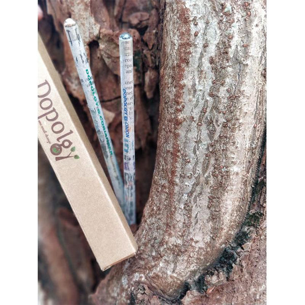 Greeny Pencils Pack - Assorted Pencils made from recycled newspaper (4 packs)