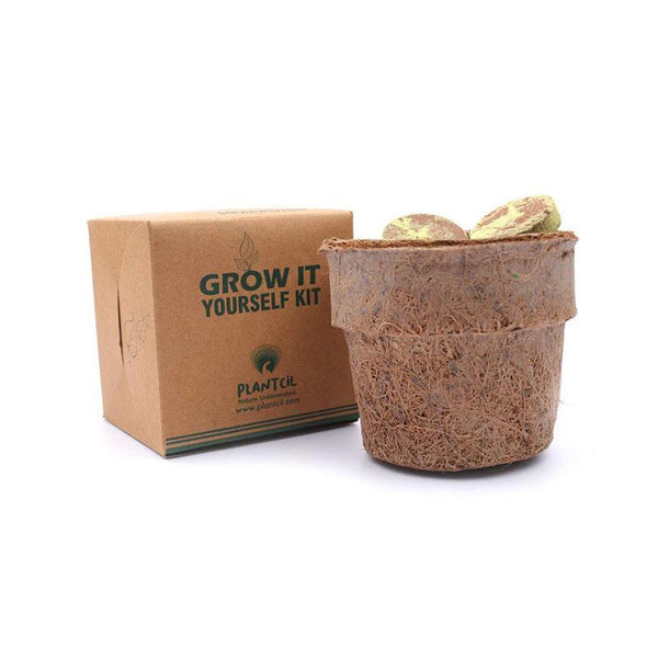 Seed Paper Grow Kit