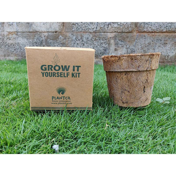 Seed Paper Grow Kit