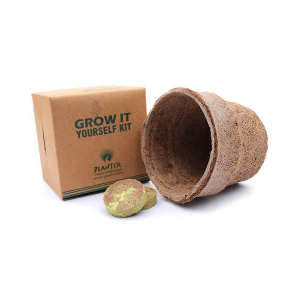 Seed Paper Grow Kit