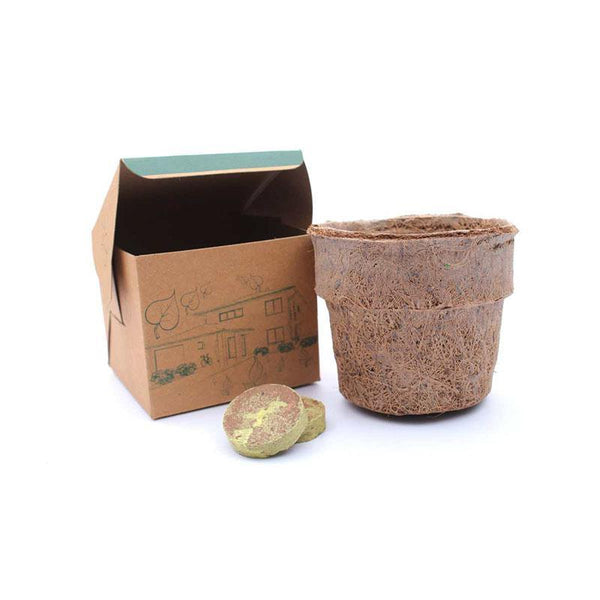 Seed Paper Grow Kit