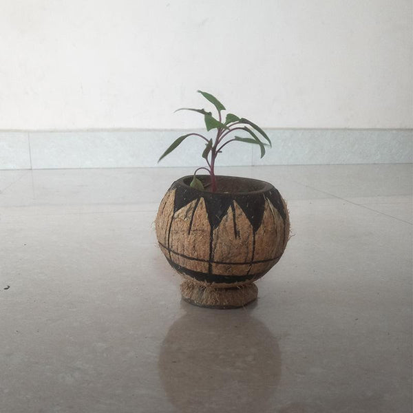 Coconut Shell Bowl Pen Stand Handcrafted by Rural Artisans of Alangulam
