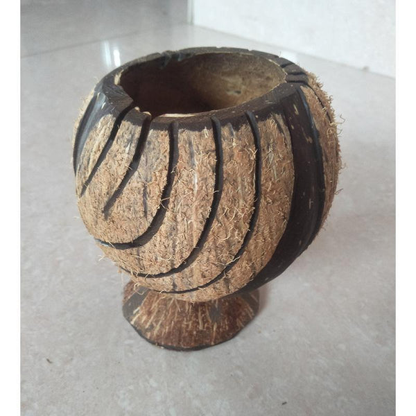 Coconut Shell Bowl Planter/ Penstand Handcrafted by Rural Artisans of Alangulam
