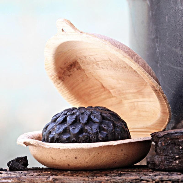 Donkey's milk charcoal and honey soap