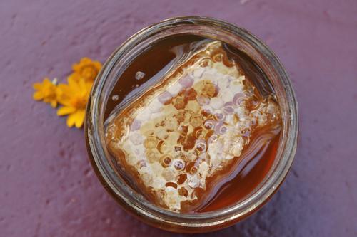 Honey and Spice Honeycomb in Honey (500gms)