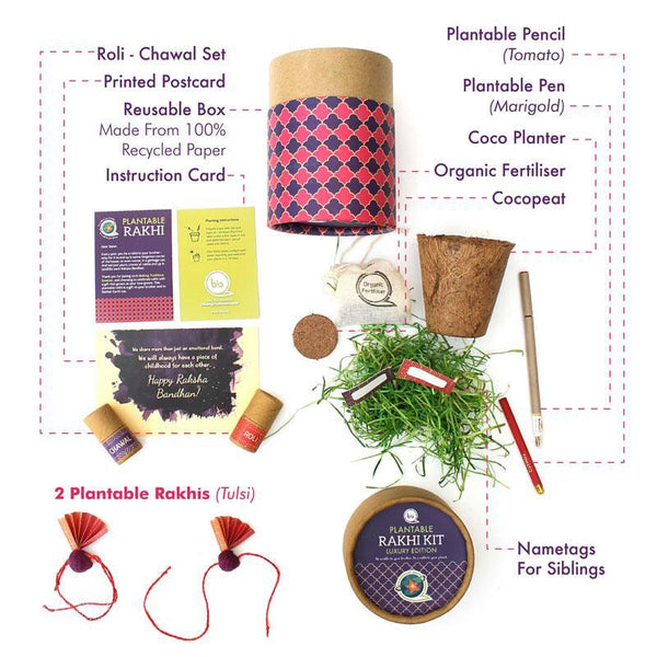 Eco-Friendly Luxury Rakhi Kit with 2 Plantable Seed Adult Rakhis, a Plantable Seed Pen and Pencil