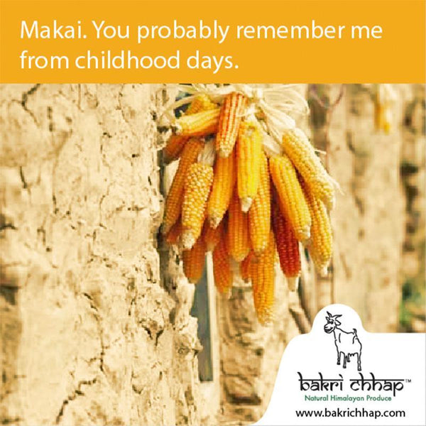 Organic Maize Flour from the Himalayas, 500g