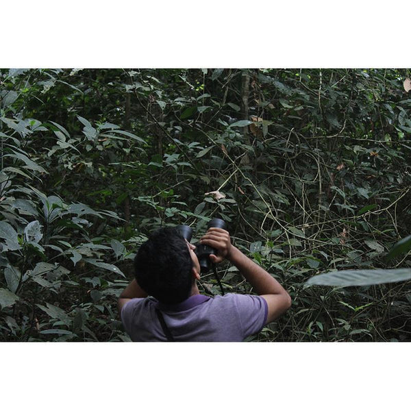 27 Jul, 3 Aug, 10 Aug, 11 Aug : A trip to Makuvalli amidst the Idukki Reserve Forest (Kerala) - 2 Day Package  - Ex Pazhayarikandam