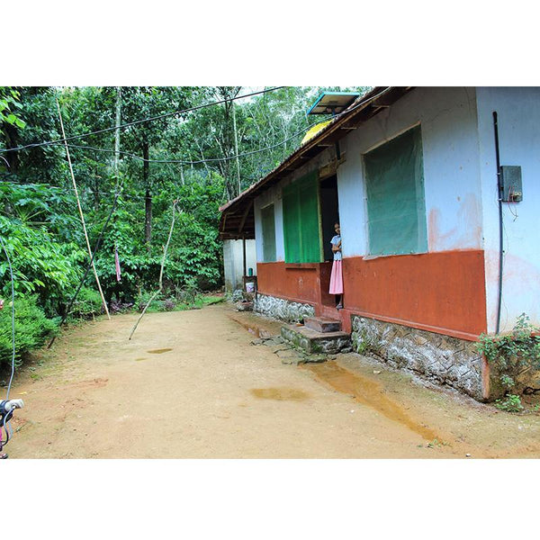 27 Jul, 3 Aug, 10 Aug, 11 Aug : A trip to Makuvalli amidst the Idukki Reserve Forest (Kerala) - 2 Day Package  - Ex Pazhayarikandam