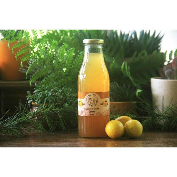 Lemon Ginger Cooler, 500ml