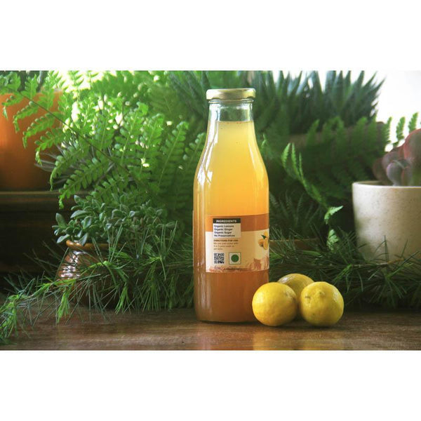 Lemon Ginger Cooler, 500ml