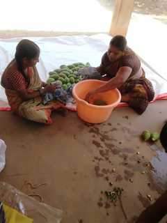 Mango- Avakai Pickle with Ground nut oil