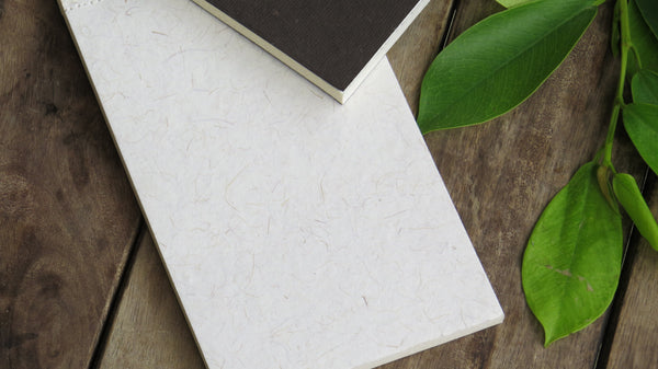 Handmade Paper Notepad Combo - Plain and Printed (30 pages)