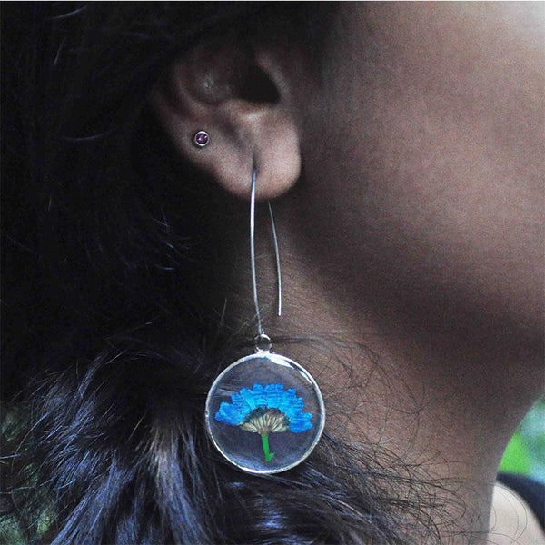 Round Earrings with Hand-Pressed Blue Felicia Daisy Flowers