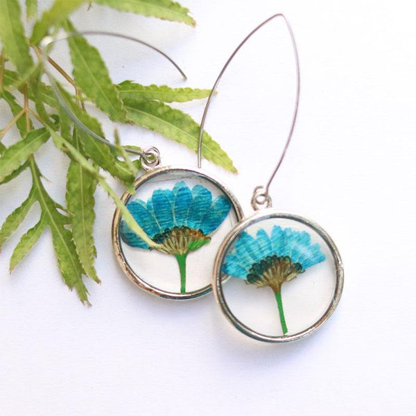 Round Earrings with Hand-Pressed Blue Felicia Daisy Flowers
