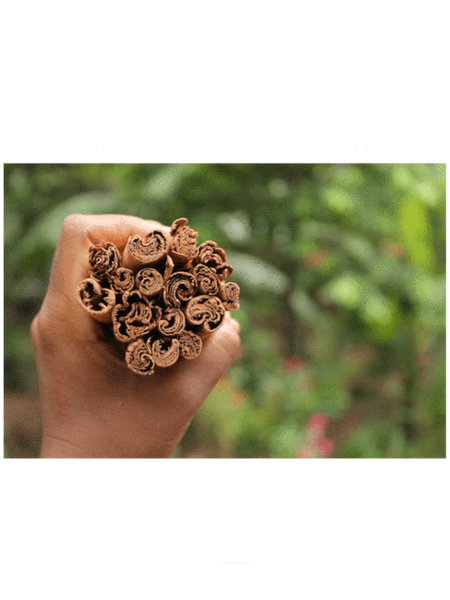 Honey and Spice Ceylon Cinnamon (50gms)