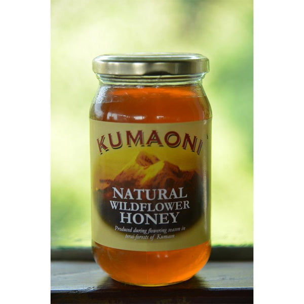 Natural Wildflower Honey, 500g