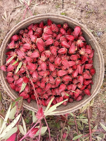 Natural, Fruity Manipuri Roselle Tea (18 Tea Bags)