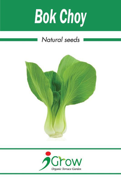 Naturally-Treated Organic Bok Choy Seeds - 50 Seeds Per Pack  (Pack of 2)