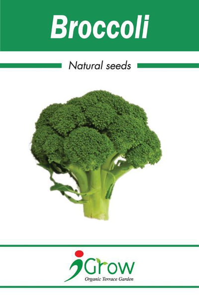 Naturally-Treated Organic Broccoli Seeds- 50 Seeds per Pack (Pack of 2)