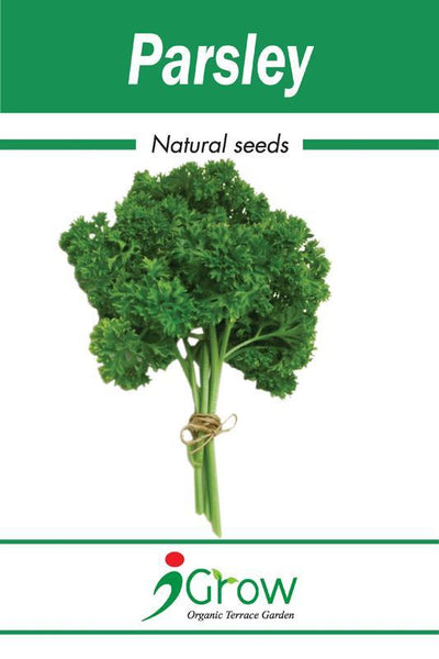 Naturally -Treated Organic Parsley Seeds - 50 Seeds (Pack of 2)