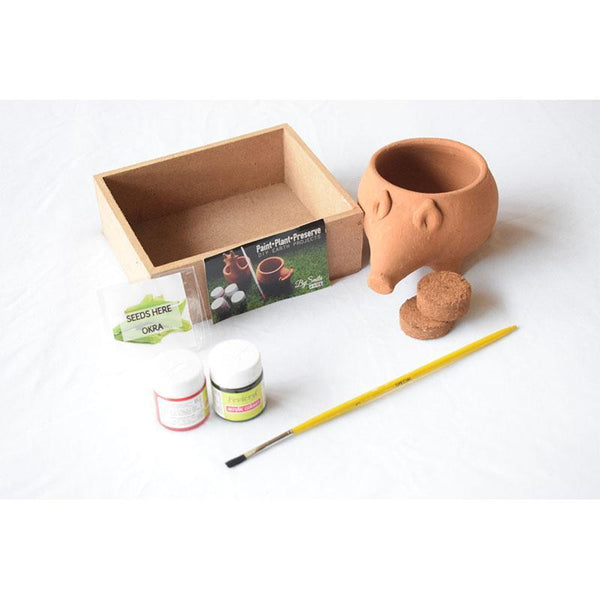 Paint, Plant & Preserve Kit for Children