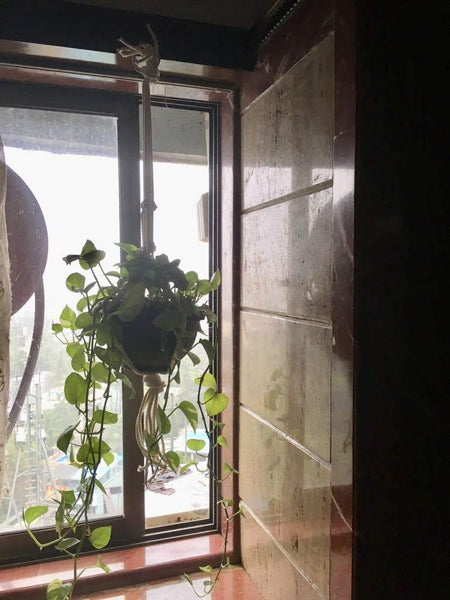 Traditional Macrame Indoor Plant Holder Handmade By Women Artisans