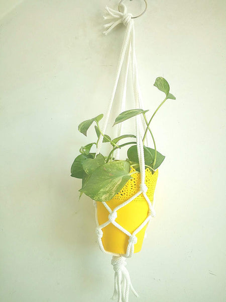 Traditional Macrame Indoor Plant Holder Handmade By Women Artisans