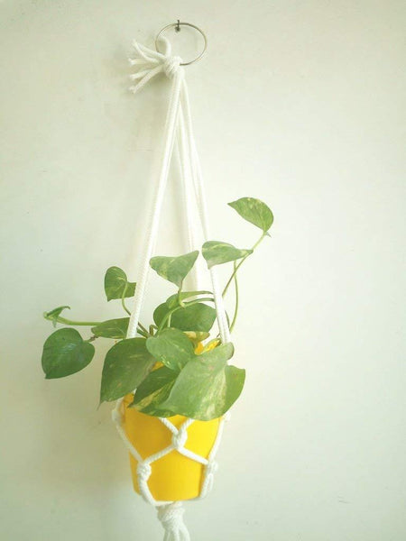 Traditional Macrame Indoor Plant Holder Handmade By Women Artisans