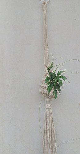 Macrame Air Plant Holder Handmade By Women Artisans