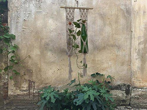 Macrame Double Bottle Plant Holder Handmade By Women Artisans