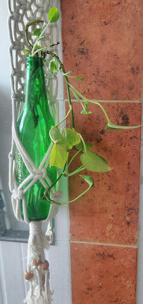 Macrame Bottle Indoor Outdoor Plant Holder Handmade By Women Artisans