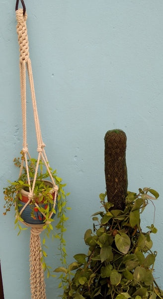 Crown Knot Macrame Plant Holder Handmade by Women Artisans