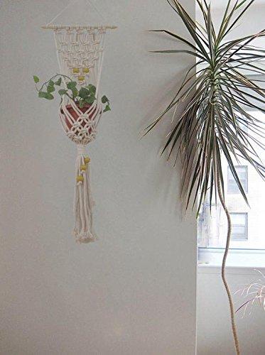 Mehendi - Macrame Wall Hanging and Plant Holder Handmade by Women Artisans