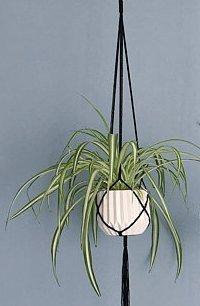 Kala - Macrame Plant Holder Handmade by Women Artisans
