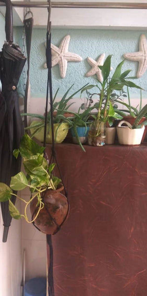 Kala - Macrame Plant Holder Handmade by Women Artisans