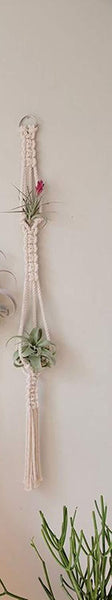 Mitha - Macrame Air Plant Holder Handmade by Women Artisans