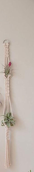 Mitha - Macrame Air Plant Holder Handmade by Women Artisans