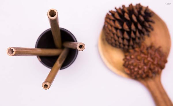 Pack of 4 Biodegradable, Reusable Bamboo Straws