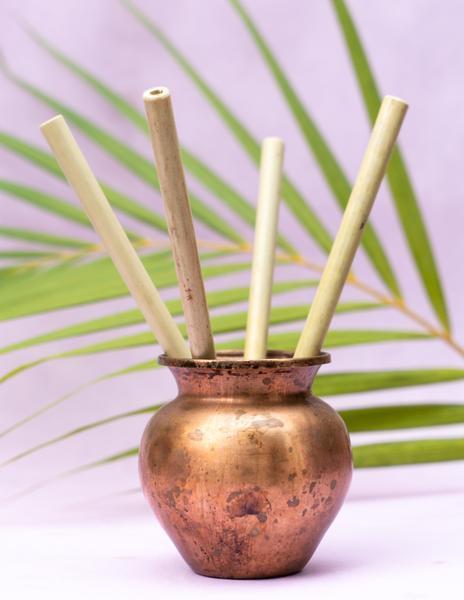 Pack of 4 Biodegradable, Reusable Bamboo Straws