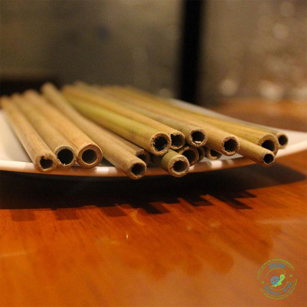 Pack of 4 Reusable Bamboo Straws with Free Straw Cleaner
