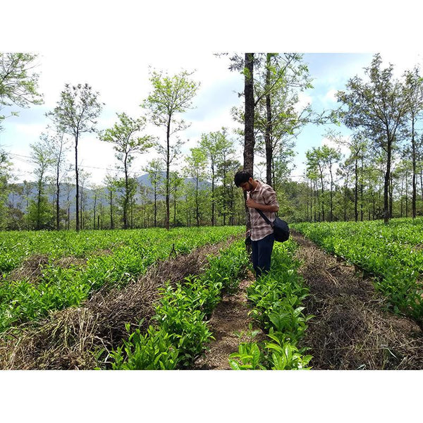 Experience life in the plantation village of Palar, Tamil Nadu  - 1 Day Trip - Ex Palar, TN