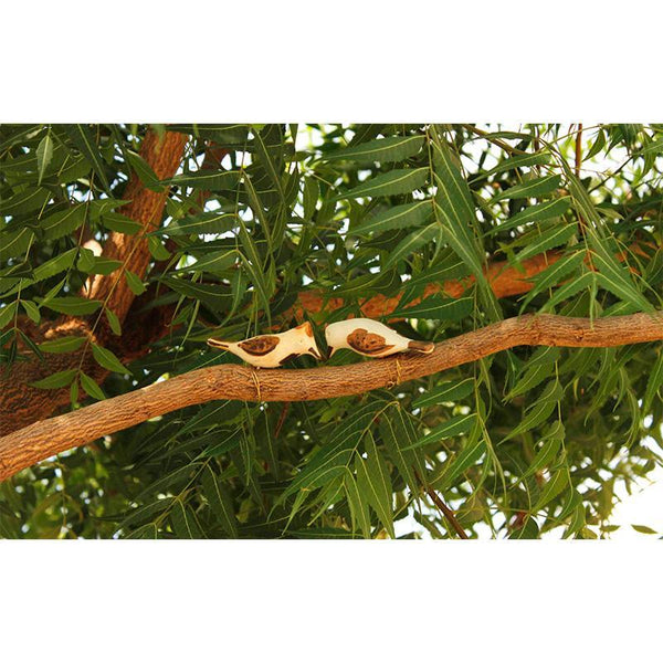 Handmade Wooden Bird Hanging - Bul Buls