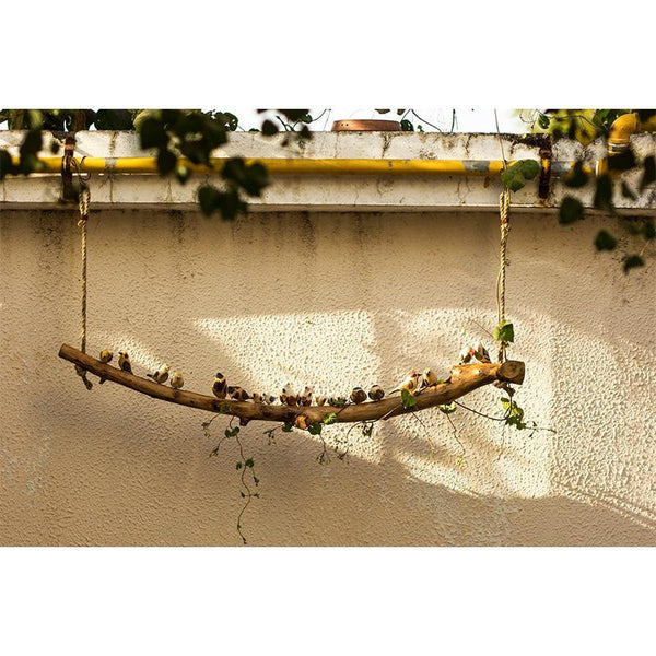 Wooden Bird Hanging Hanging by Local Artisans - Assorted Large