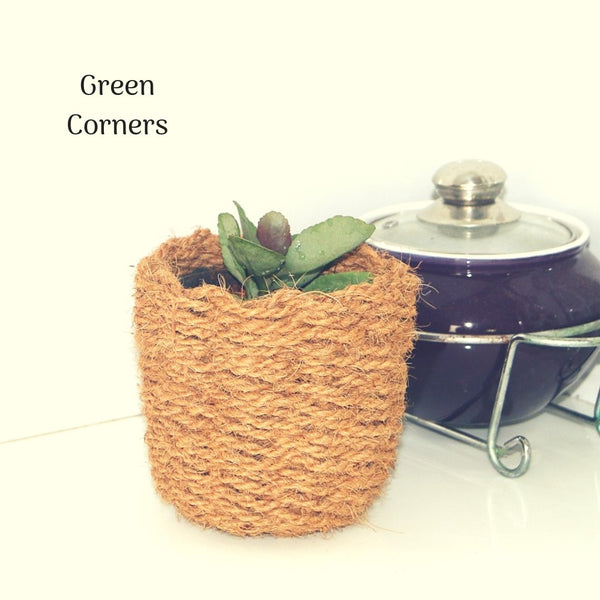 Petite Coir Planters