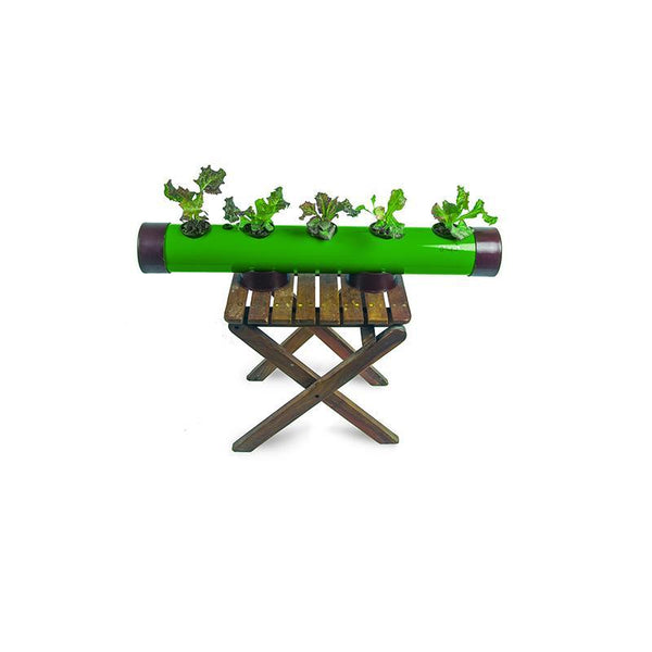 Pindpipe - Hydroponic Growing Kit for In-House Farming