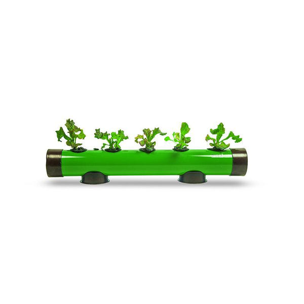 Pindpipe - Hydroponic Growing Kit for In-House Farming