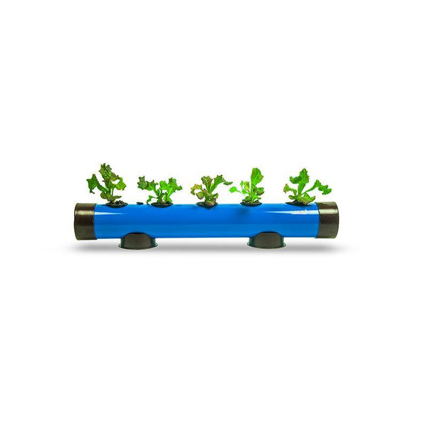 Pindpipe - Hydroponic Growing Kit for In-House Farming