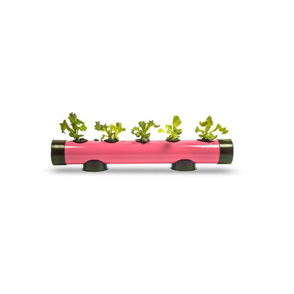 Pindpipe - Hydroponic Growing Kit for In-House Farming