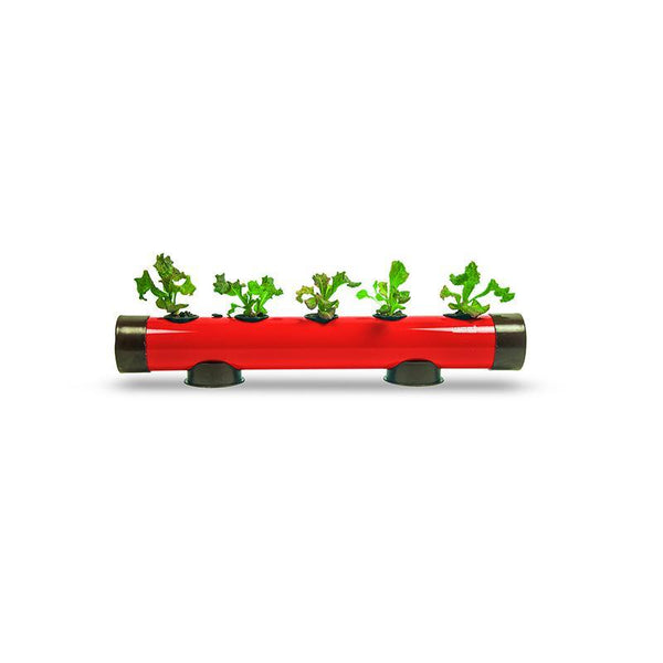 Pindpipe - Hydroponic Growing Kit for In-House Farming